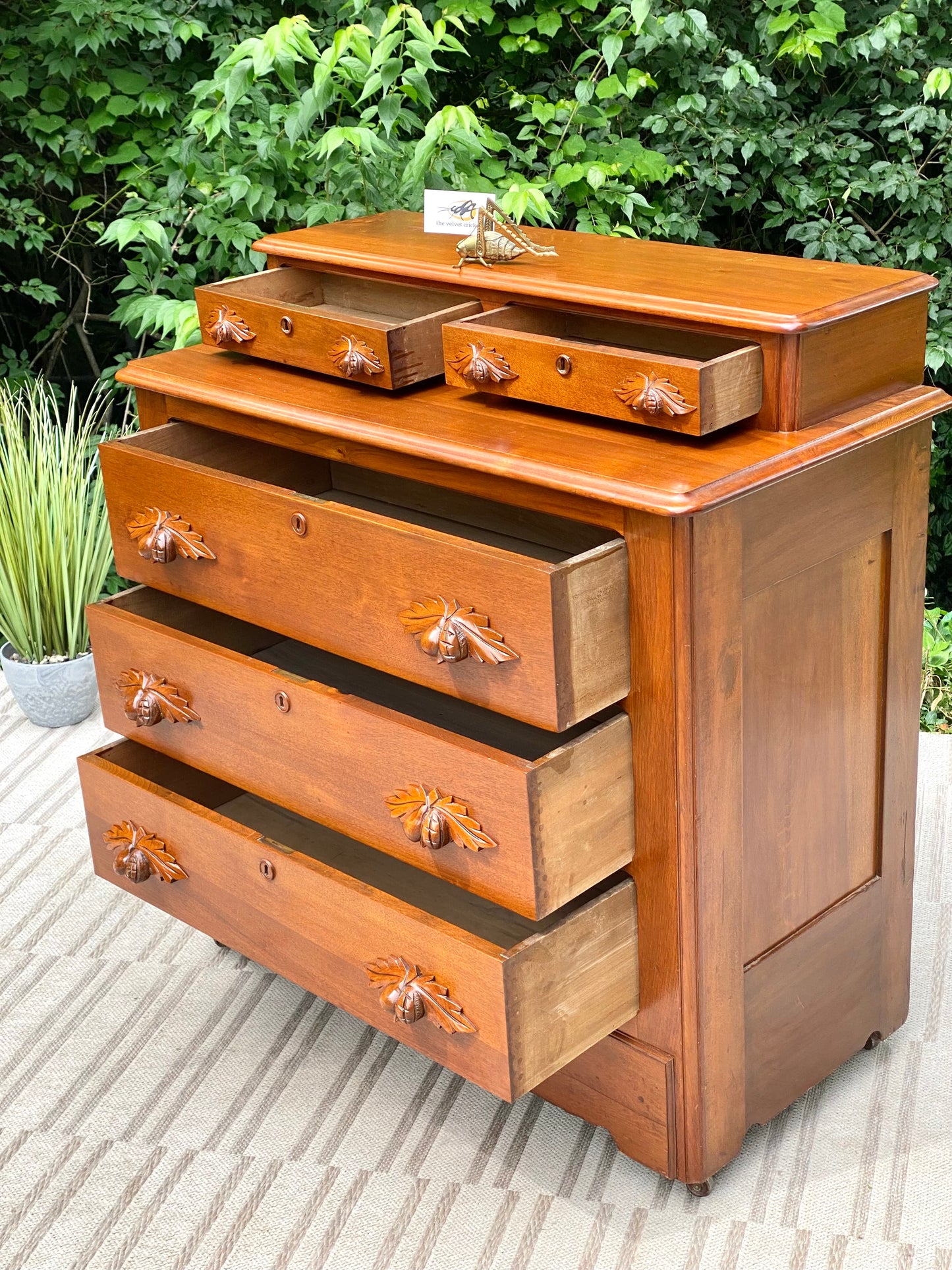 Vintage Wooden Pine Cone 5 Drawer Dresser