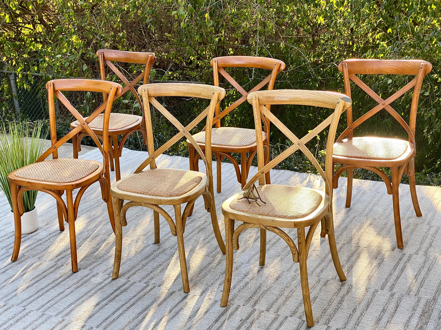 Set of 6 Artefama Design Chairs