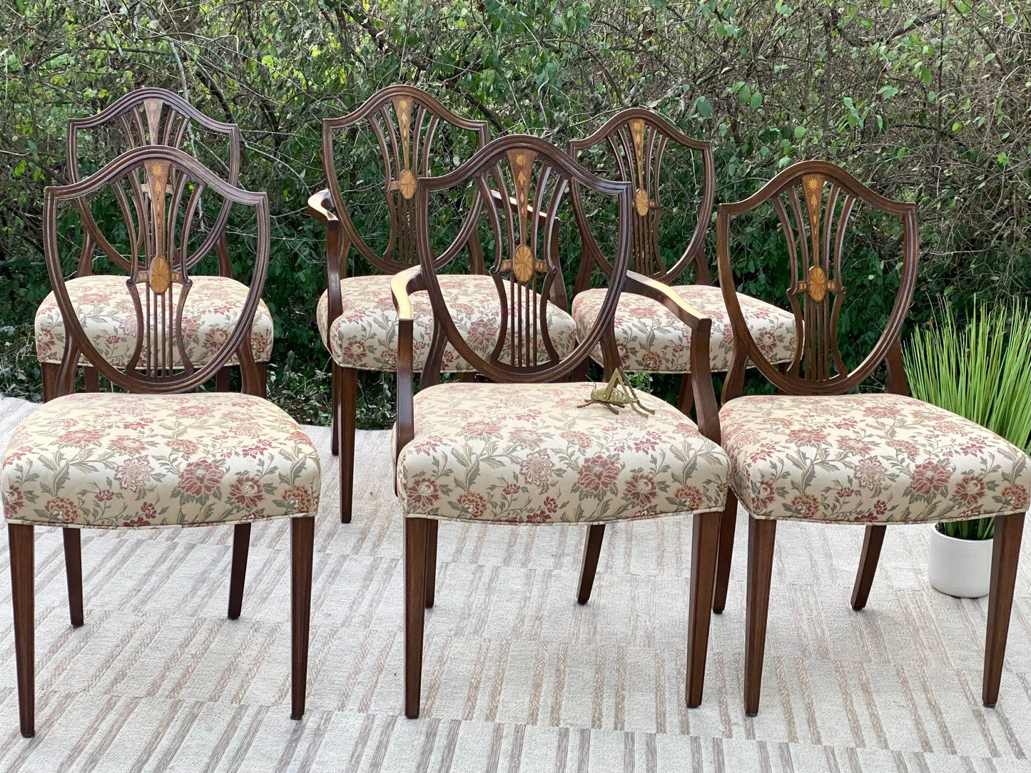 Vintage Set of 6 Hepplewhite Chairs