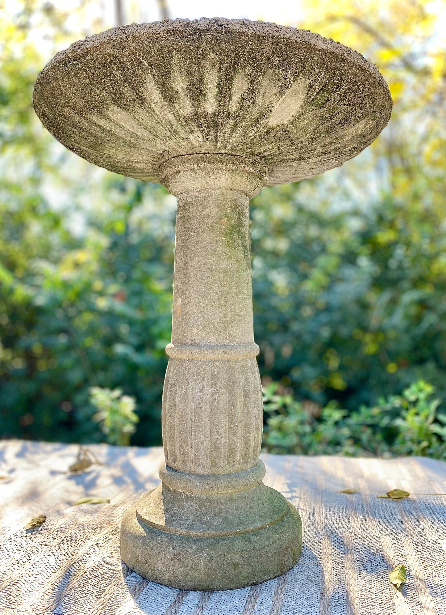 Vintage Concrete Bird Bath