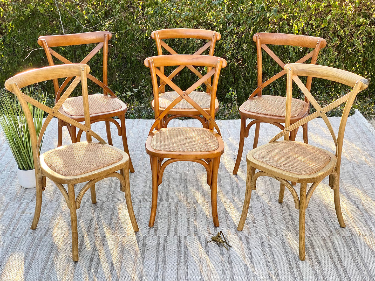 Set of 6 Artefama Design Chairs