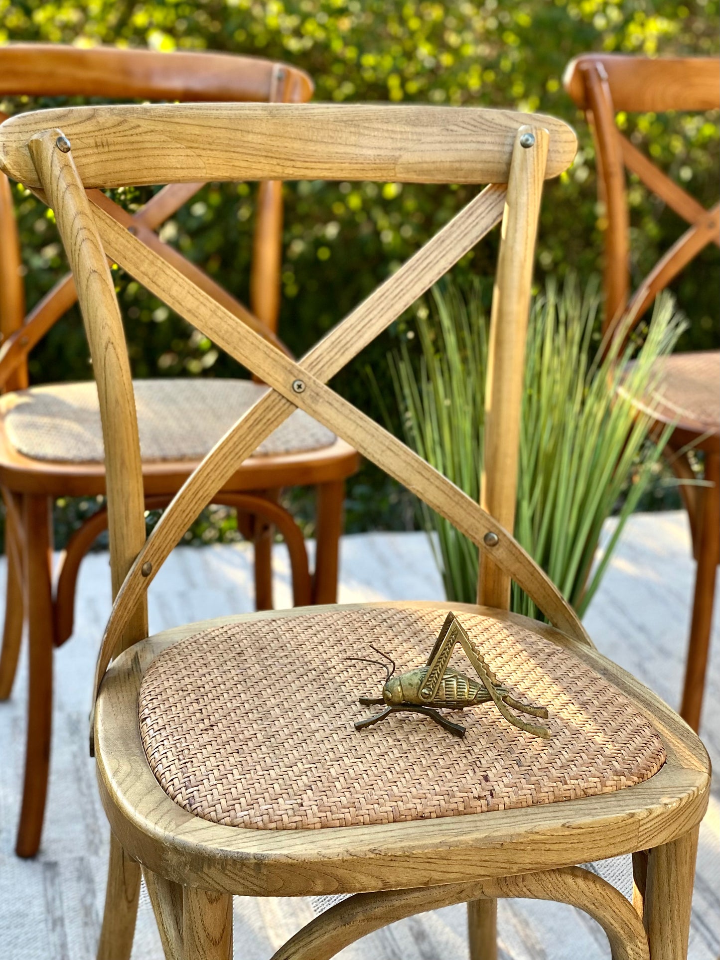 Set of 6 Artefama Design Chairs