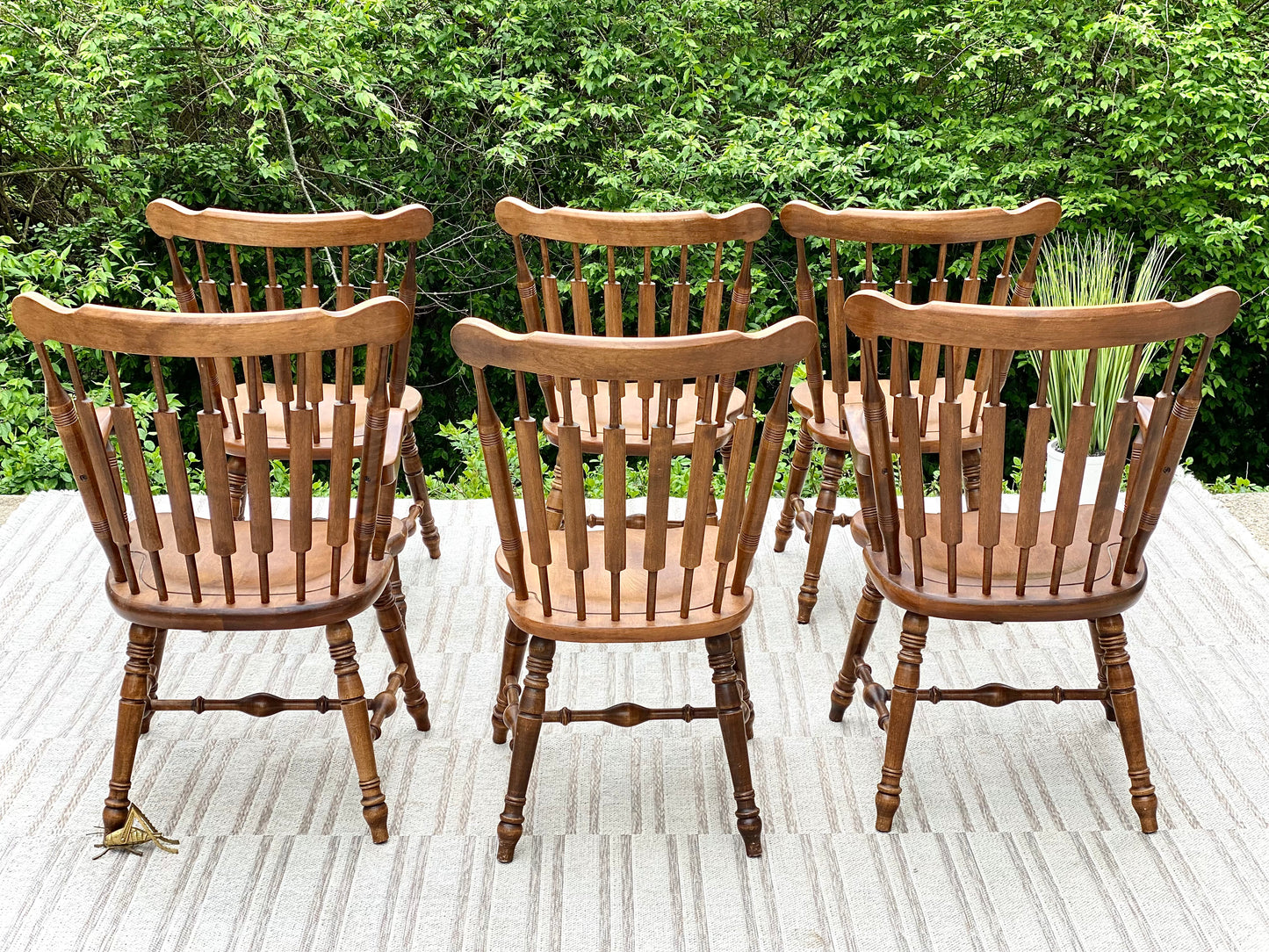 Set of 6 Temple Stuart Wooden Chairs