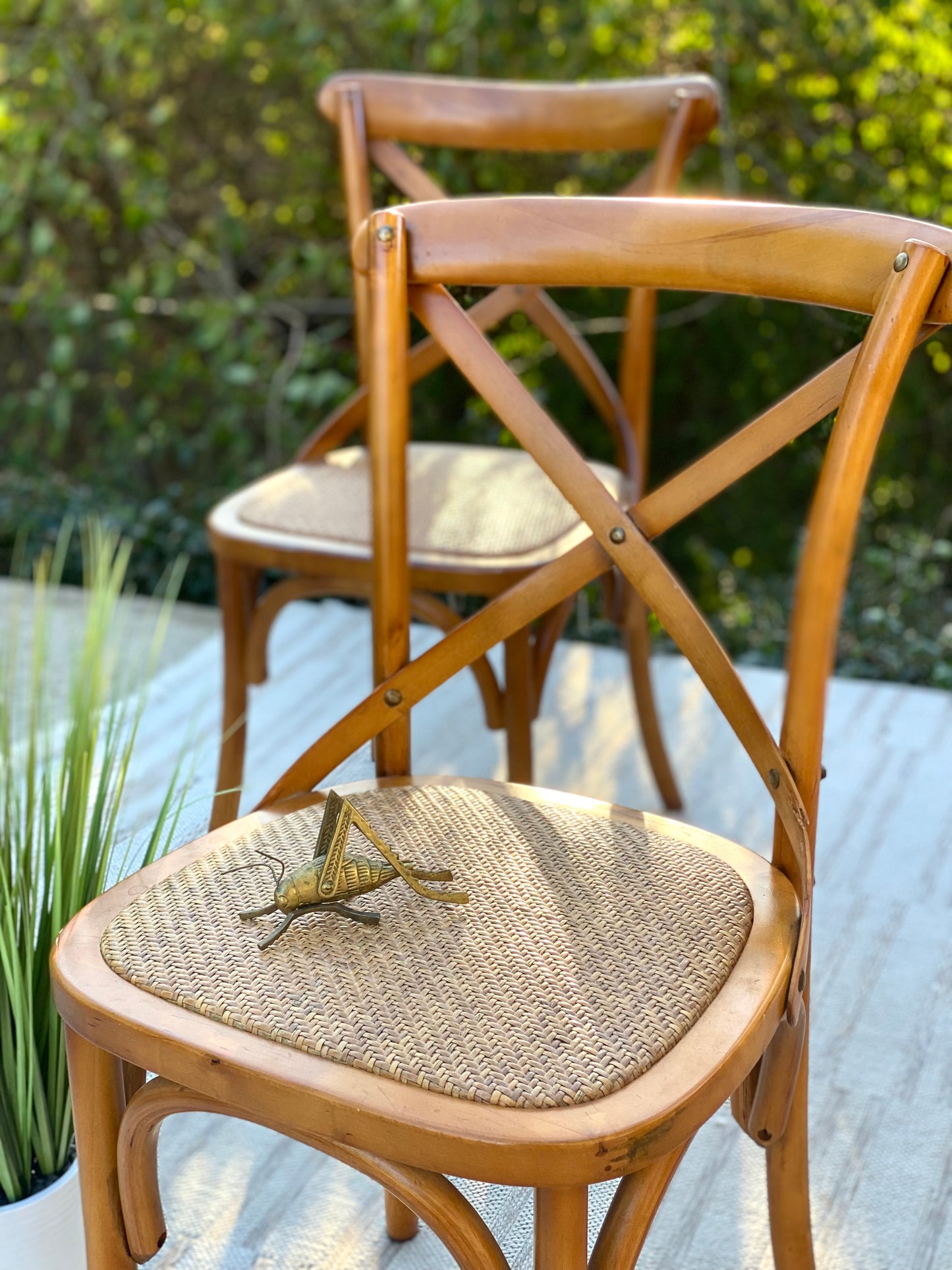 Set of 6 Artefama Design Chairs