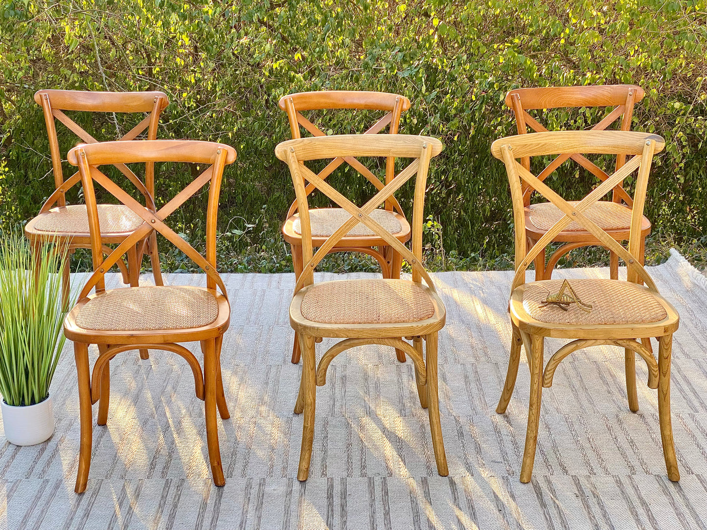 Set of 6 Artefama Design Chairs