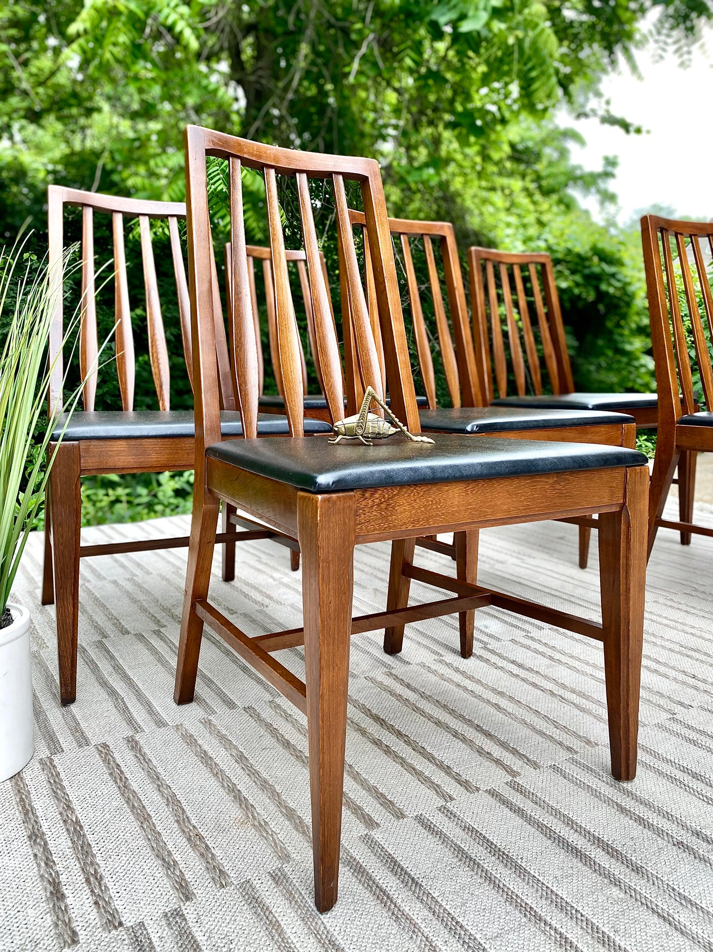 Set of 6 Vintage MCM Dining Chairs