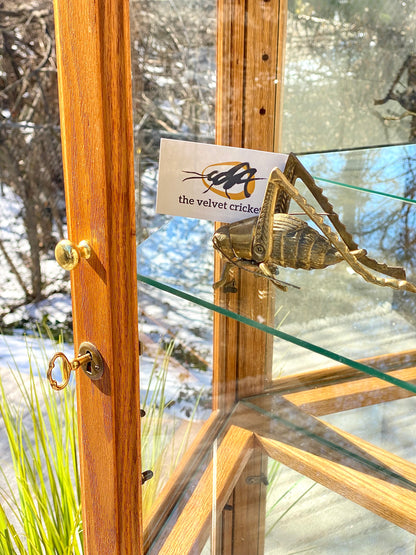 Nice Wooden Oak Tall Display Cabinet