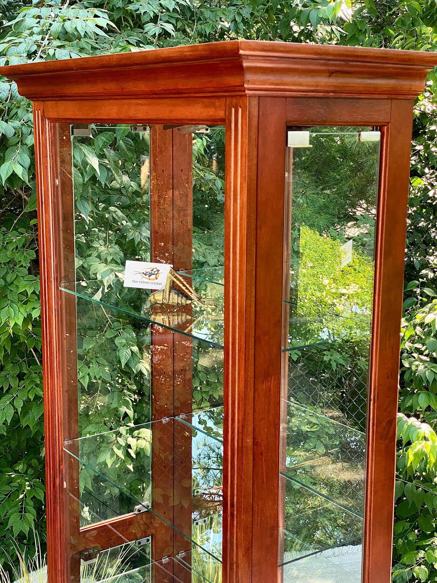 Nice Wooden Lighted Display Case Curio Cabinet