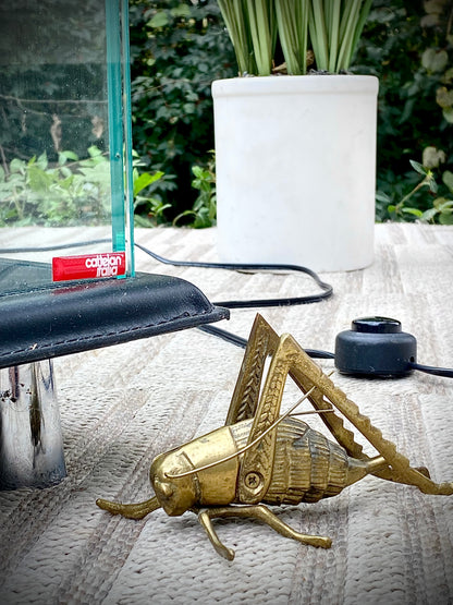 Cattelan Italia Lighted 3 Tier Glass Display Case