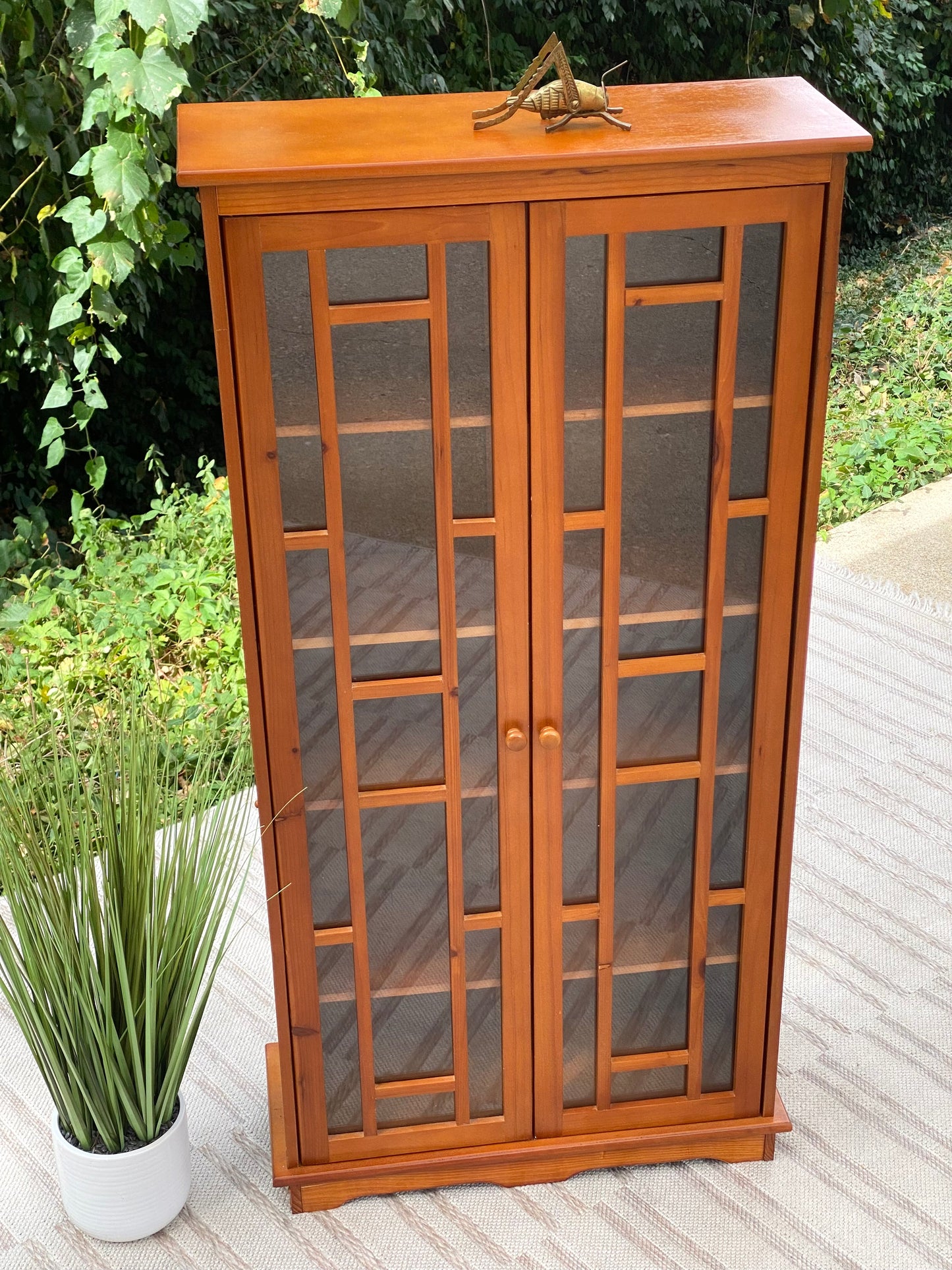 Small Modern Display Cabinet