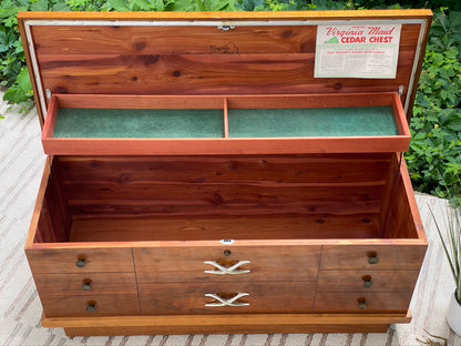 Retro MCM Lane Cedar Chest