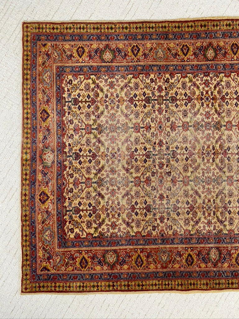 Nice Wool Turkish Area Rug 4'x6'