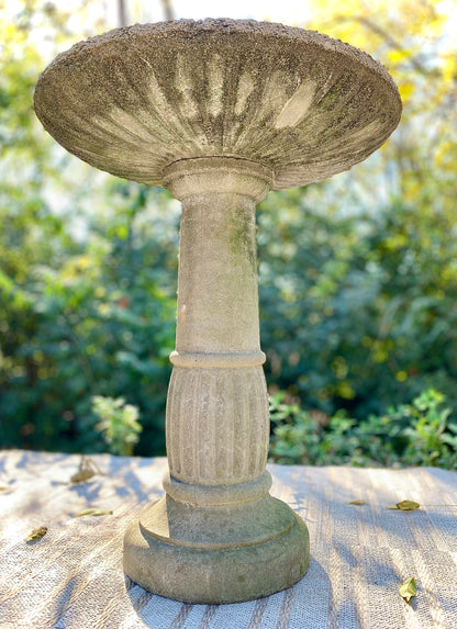 Vintage Concrete Bird Bath