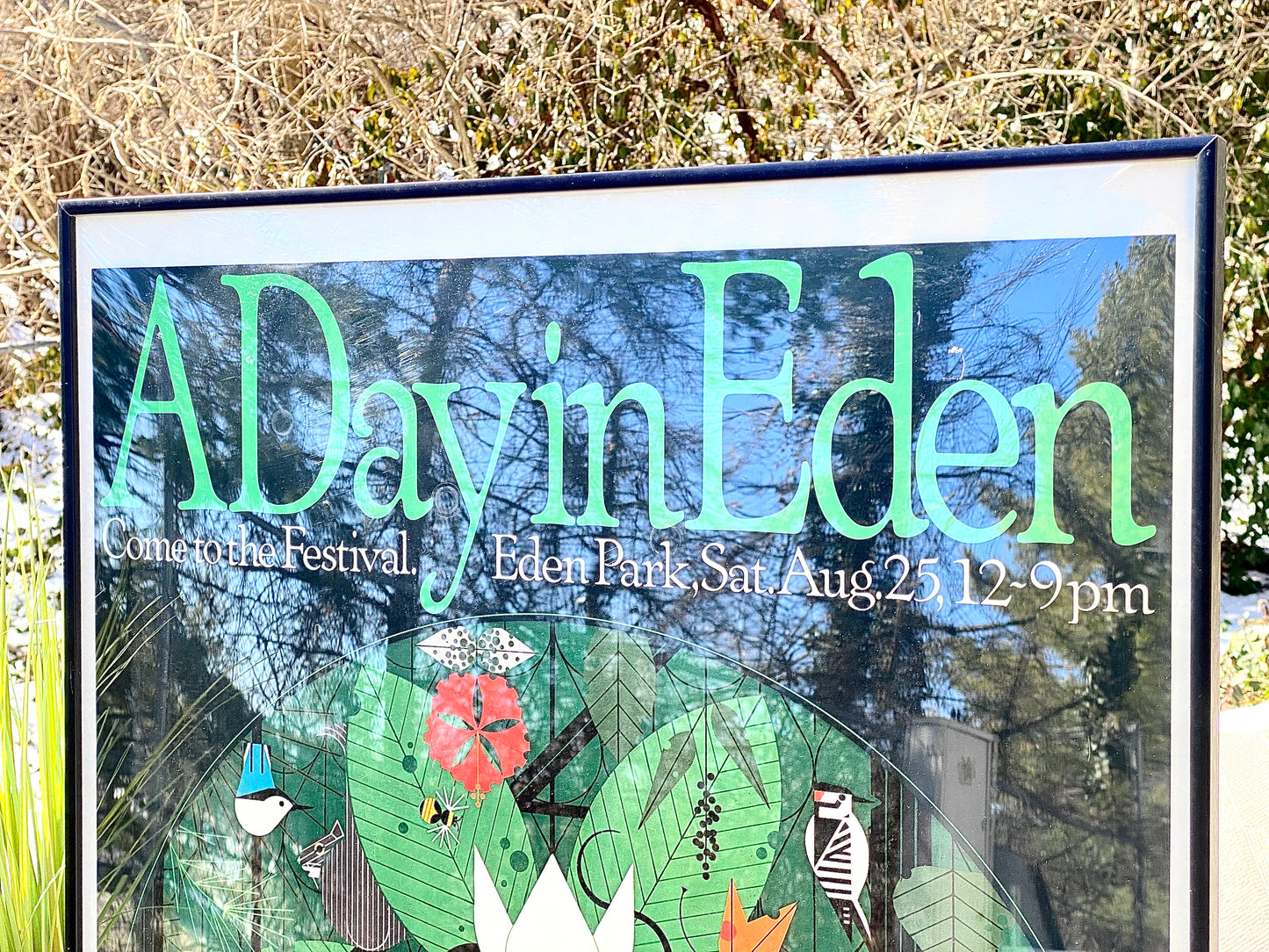 Charley Harper Framed A Day In Eden Poster