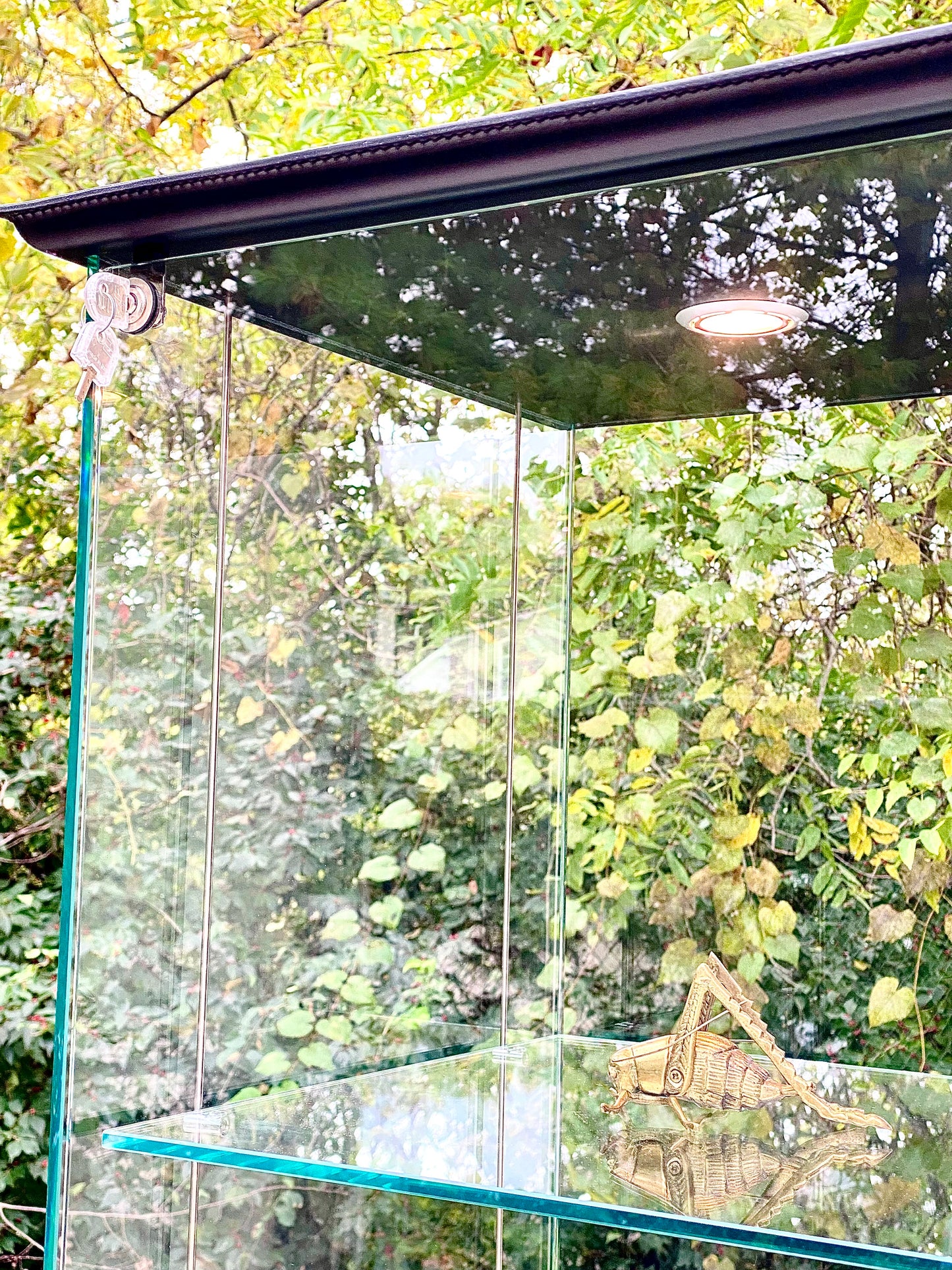 Cattelan Italia Lighted 3 Tier Glass Display Case