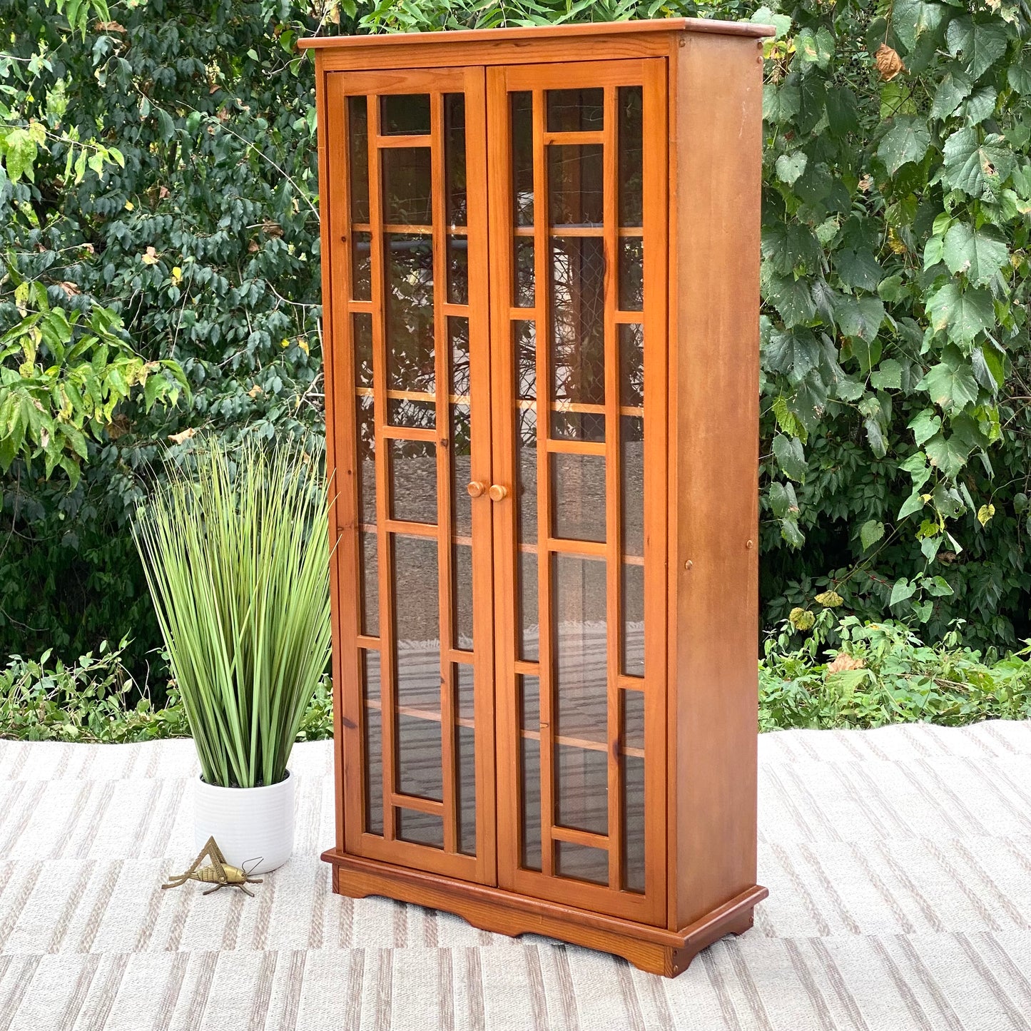 Small Modern Display Cabinet