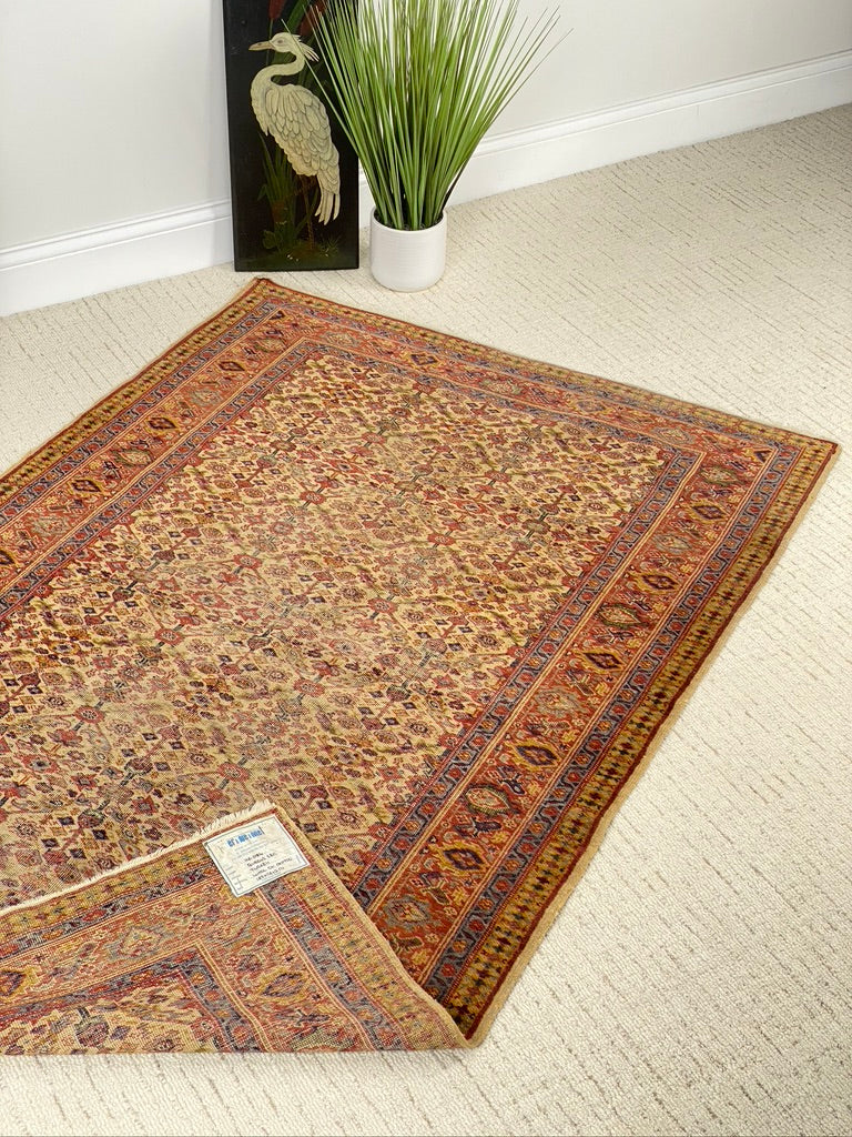 Nice Wool Turkish Area Rug 4'x6'