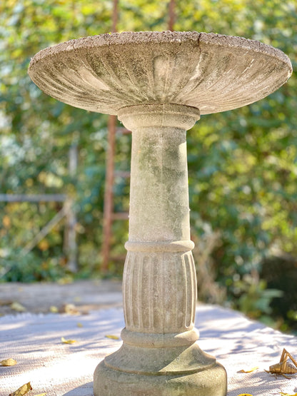 Vintage Concrete Bird Bath