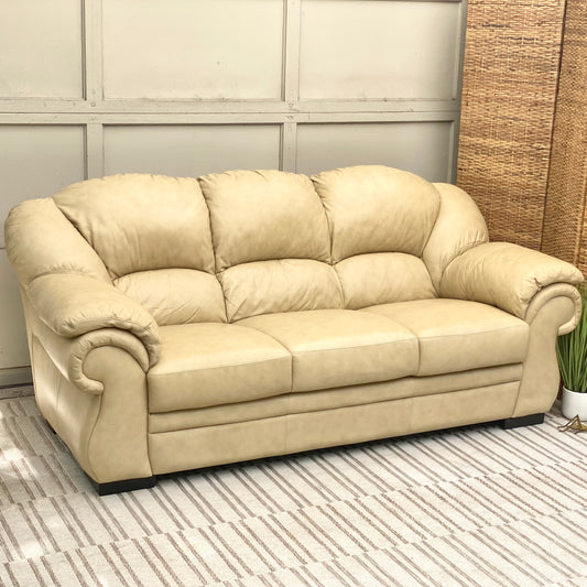 Modern Plush Leather Couch