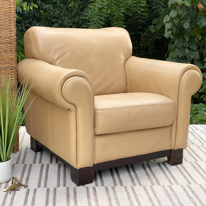 Modern Plush Leather Chair