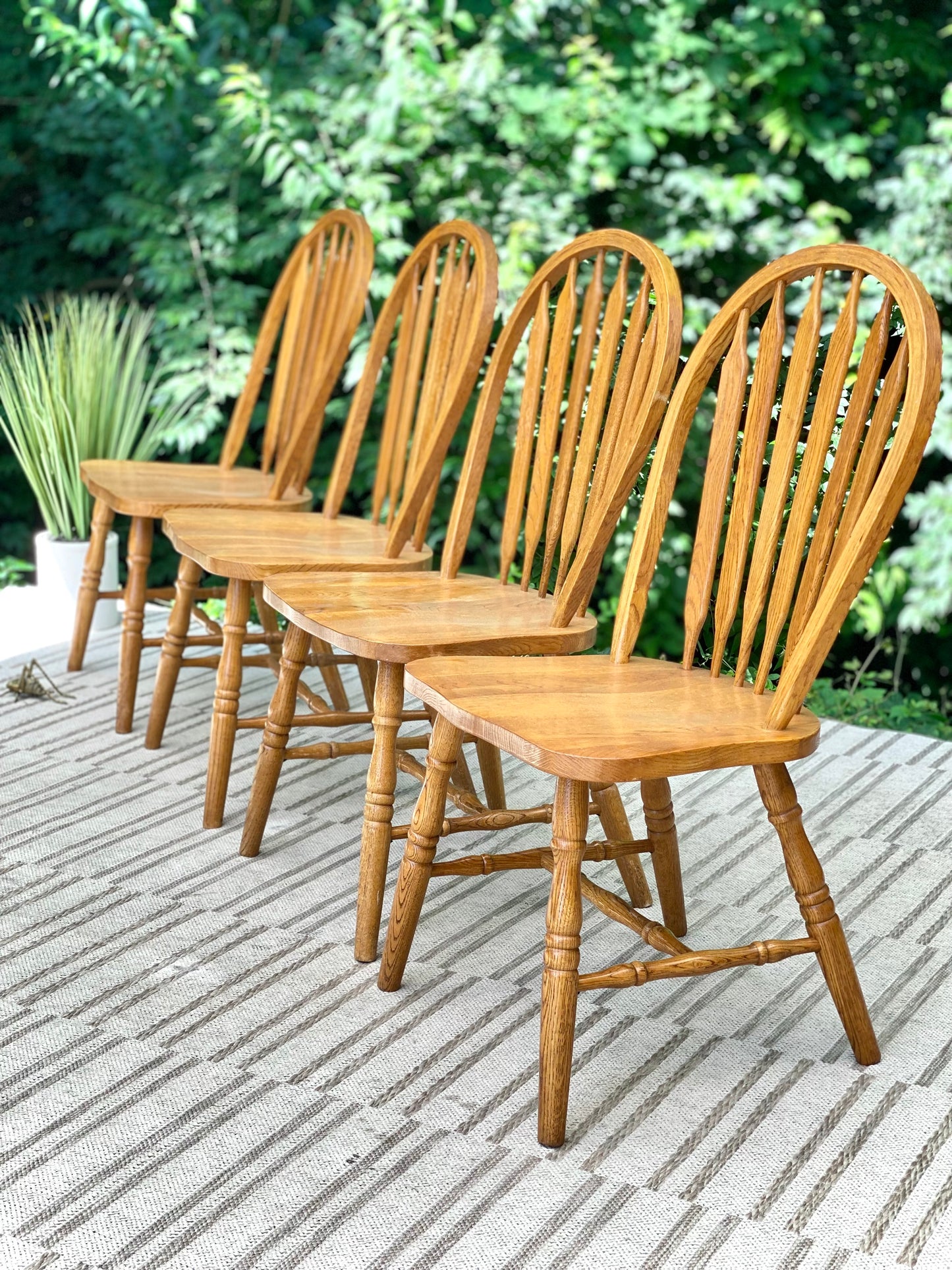 Nice Set of 4 Wood Chairs