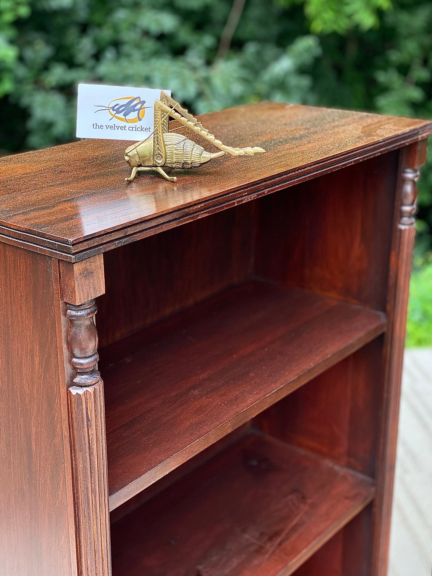 Vintage Pair of Mahogany Bookcases