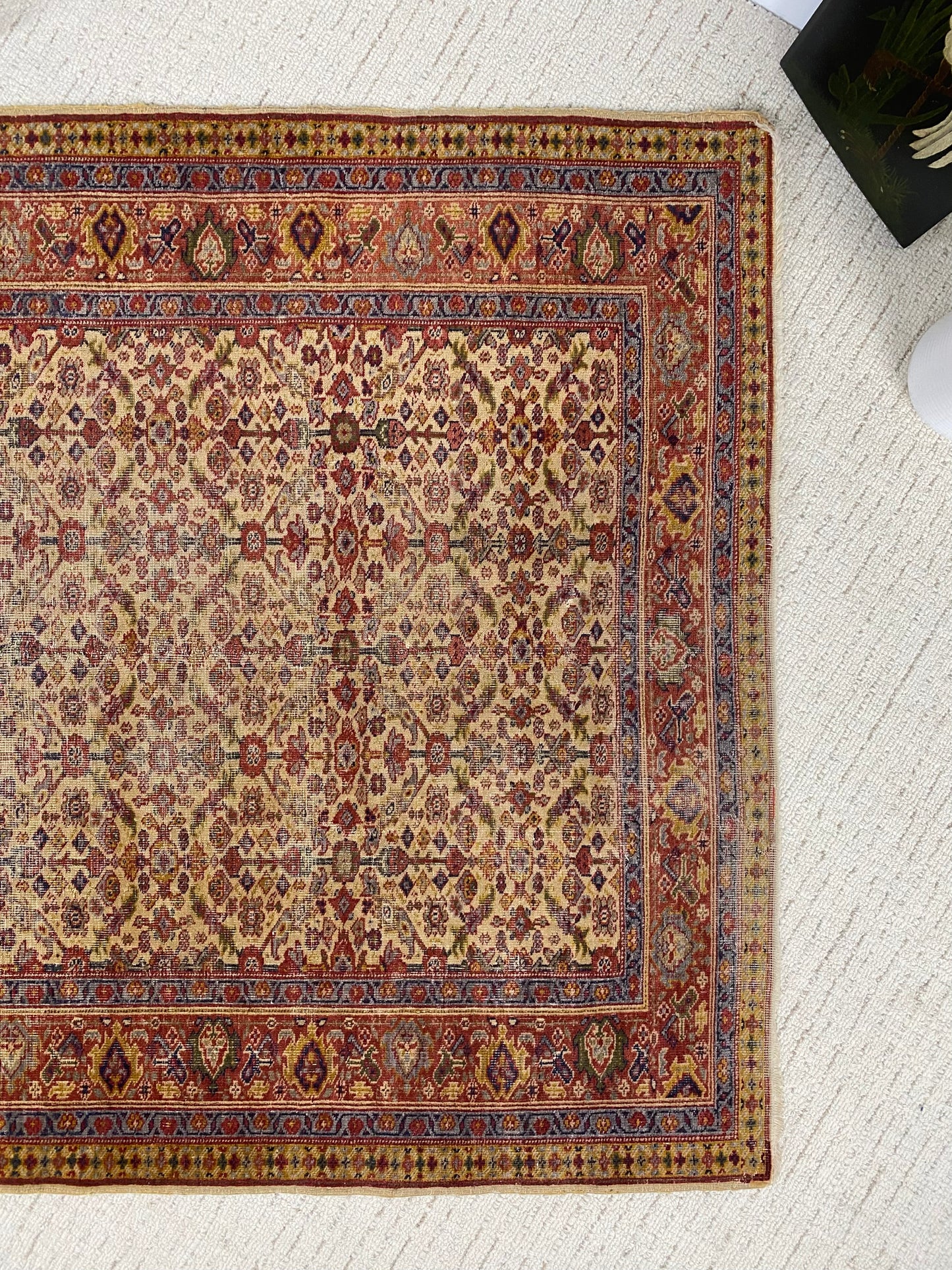 Nice Wool Turkish Area Rug 4'x6'