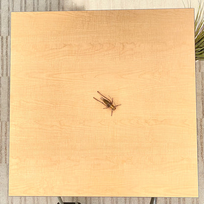 Kusch Co Modern Home Business Square Table