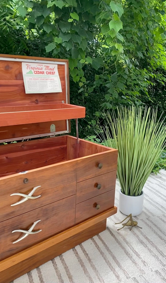 Retro MCM Lane Cedar Chest