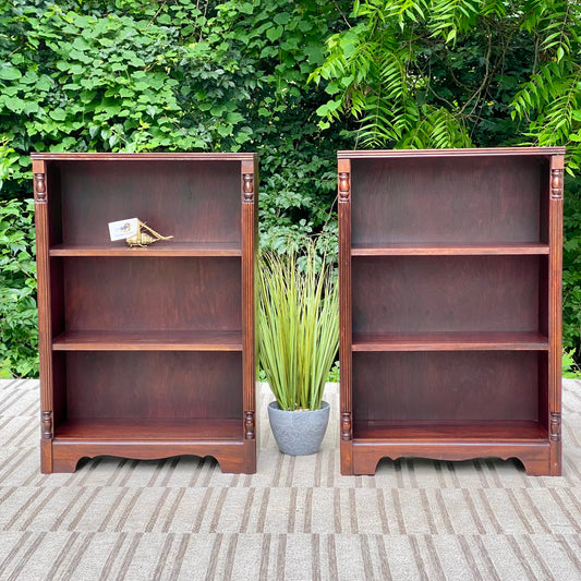 Vintage Pair of Mahogany Bookcases