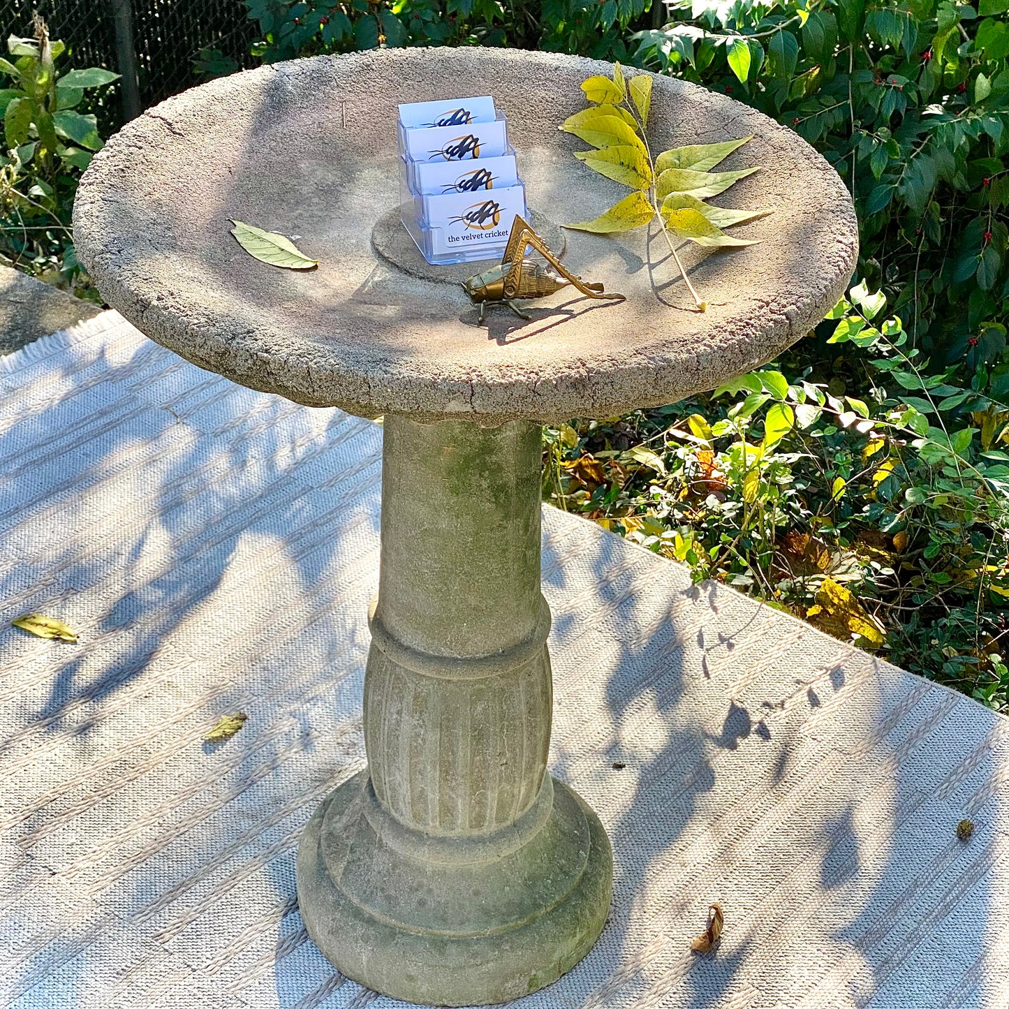 Vintage Concrete Bird Bath