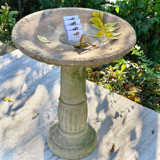Vintage Concrete Bird Bath
