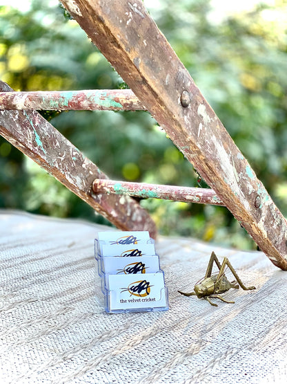 Large Vintage Wooden Ladder