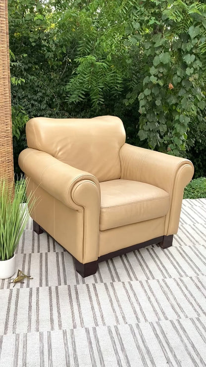 Modern Plush Leather Chair