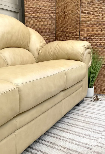 Modern Plush Leather Couch